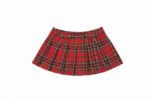 Pleated Skirt